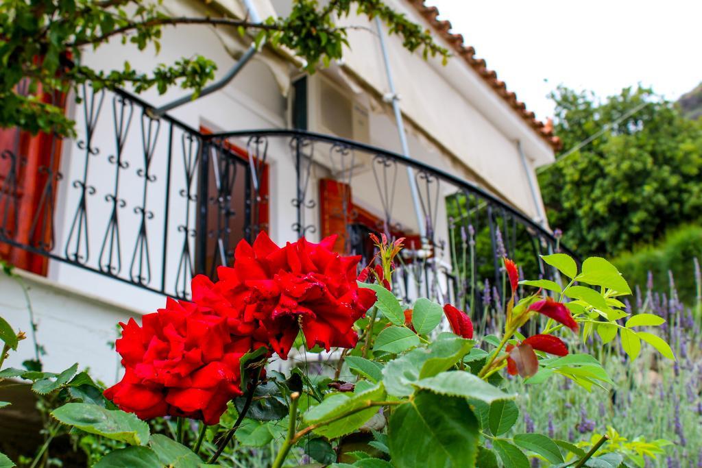 Guesthouse Lykourgos Mavrommation Exterior photo