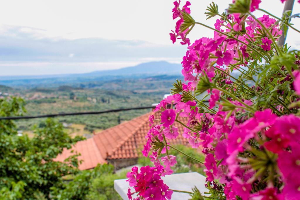 Guesthouse Lykourgos Mavrommation Exterior photo